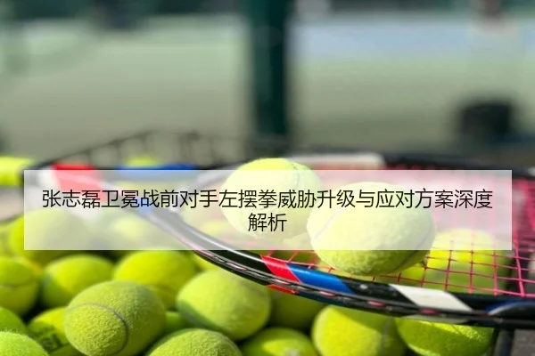 张志磊卫冕战前对手左摆拳威胁升级与应对方案深度解析