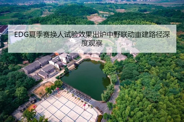 EDG夏季赛换人试验效果出炉中野联动重建路径深度观察